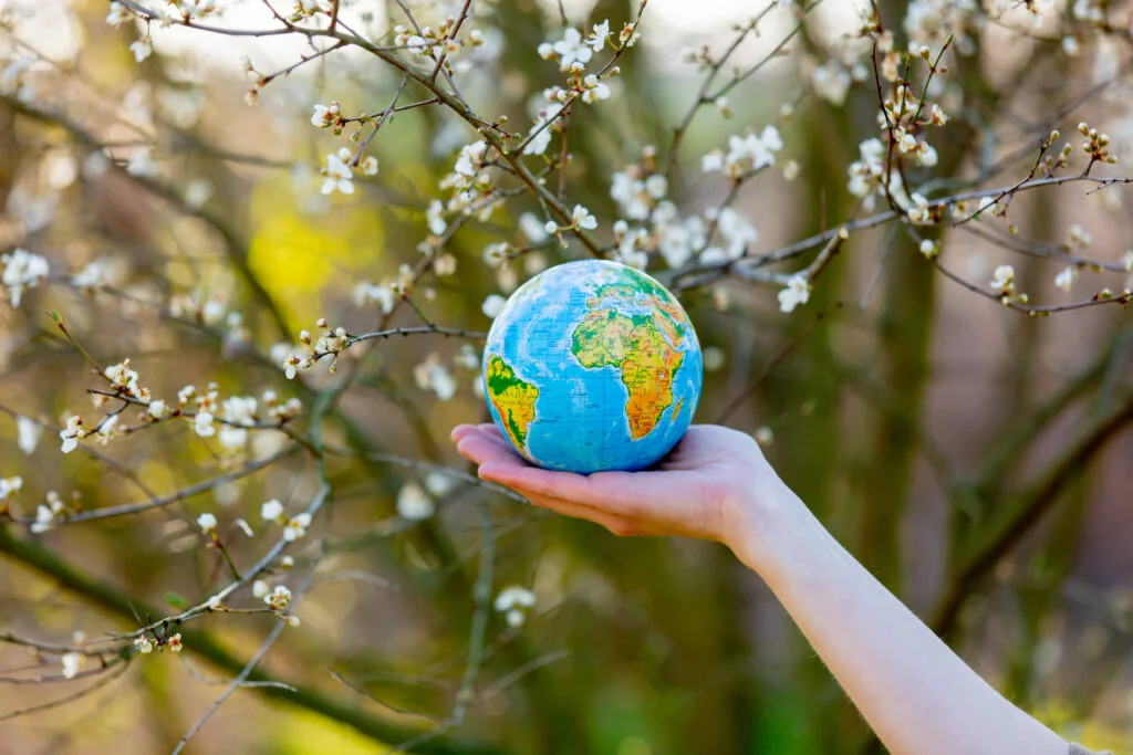 woman hand holds Earth globe in blooming cherry garden in sunset time